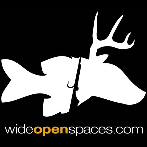 Wide Open Spaces, Your Discount Hunting, Fishing and Outdoor Gear Location  - Top Entrepreneurs Podcast