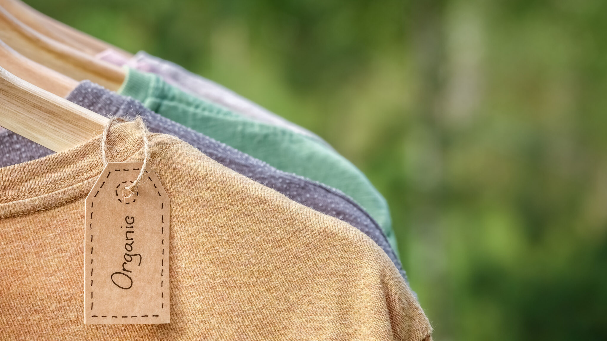 The Advantages of Sustainable Organic Clothing Top Entrepreneurs