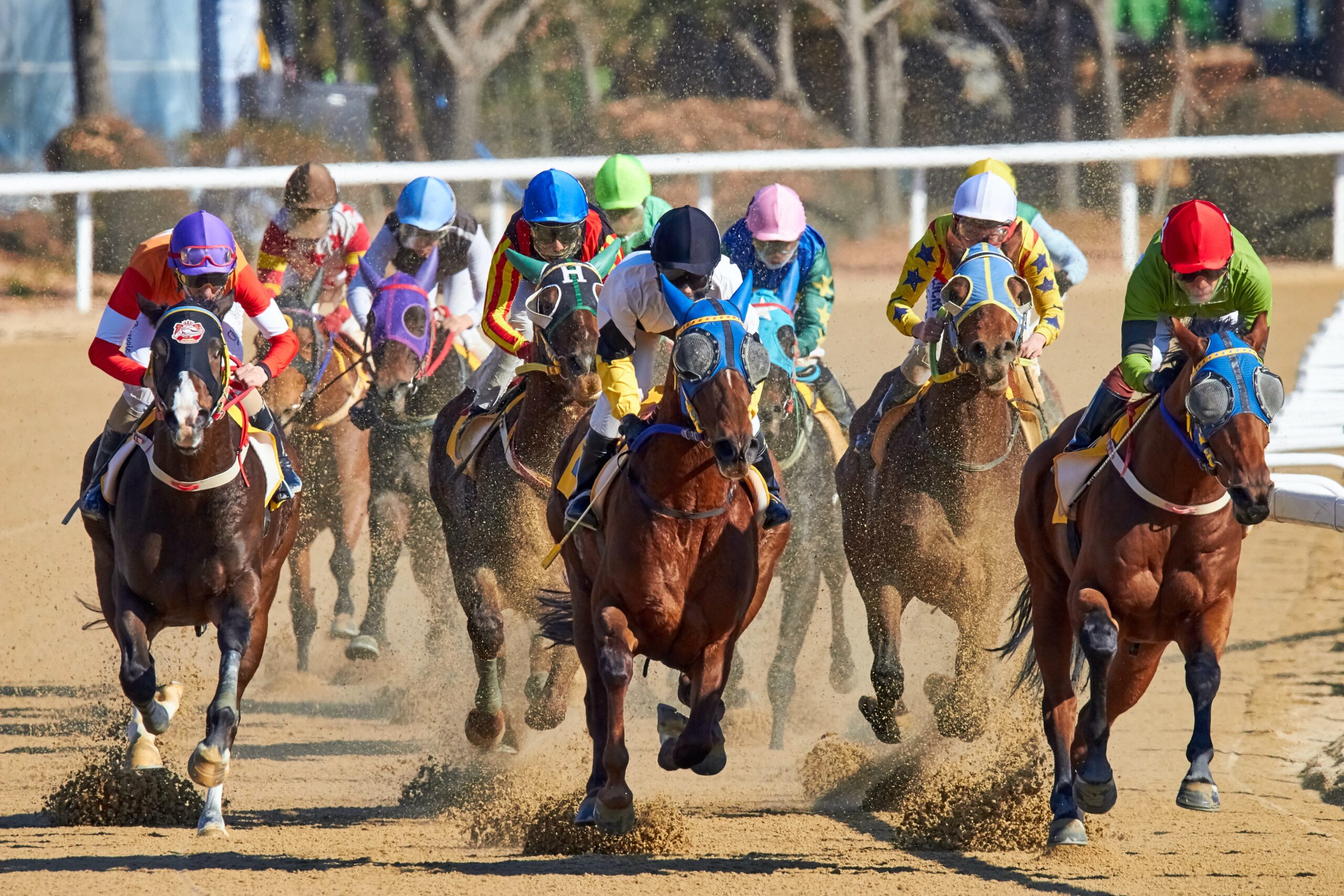 The Business Advantages of Owning a Horse in Racing