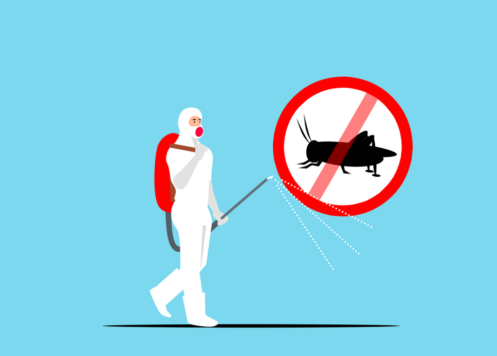 No Entry for Pests This Summer! Some Dos and Don’ts to Prevent Pests