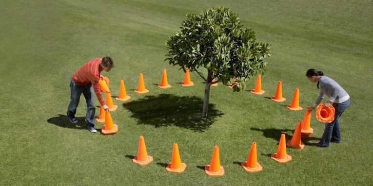 a couple of people that are standing in the grass FEATURED IMAGE