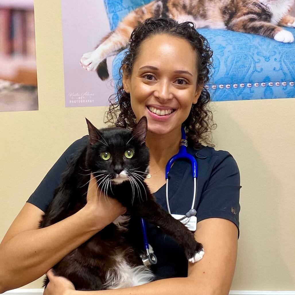 Entrepreneurs and Cats: Seasonal Care for Feline Friends