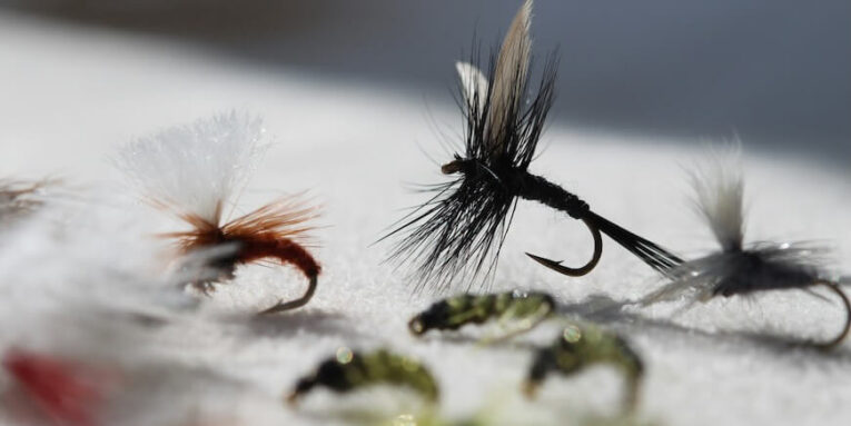 several fishing flies are shown on a white surface FEATURED IMAGE