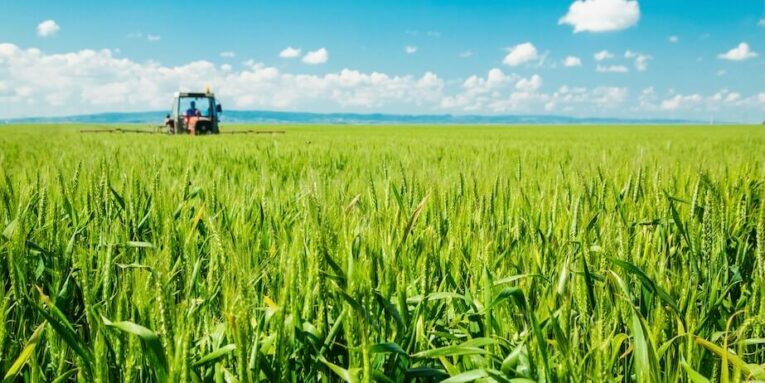 spraying wheat crops field FEATURED IMAGE