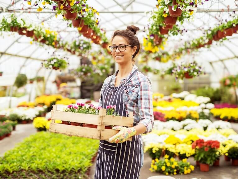 beautiful middle age devoted florist woman holding the wooden box with flowers while standing in the big greenhouse