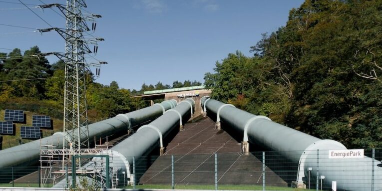 a large pipe sitting next to a forest filled with trees FEATURED IMAGE