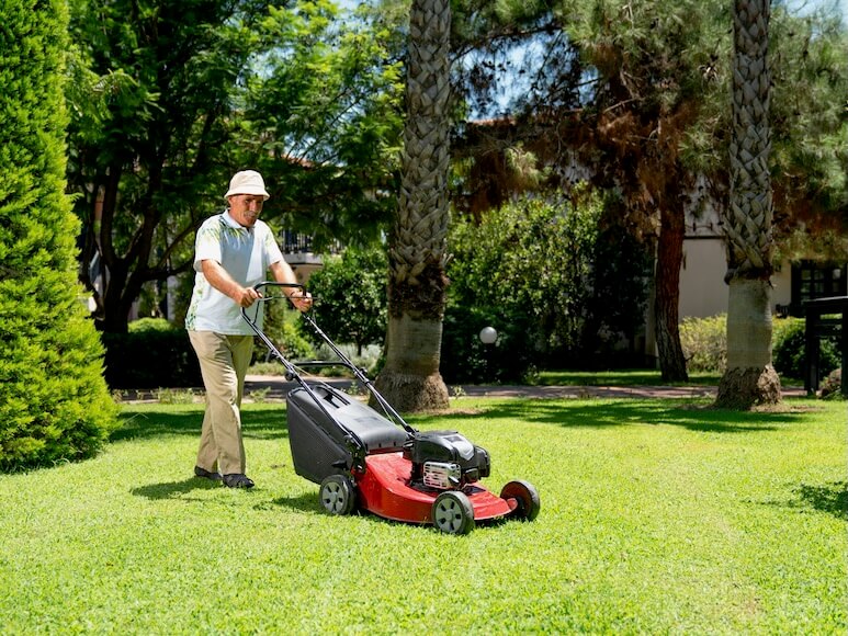 old gardener with lawn mower in green garden