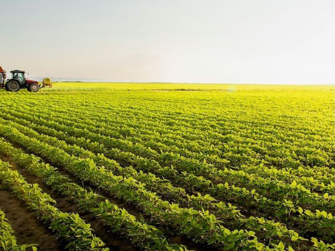 tractor spraying pesticides on soy field with sprayer at spring