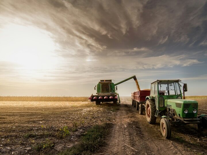 pouring corn grain into tractor trailer after harvest