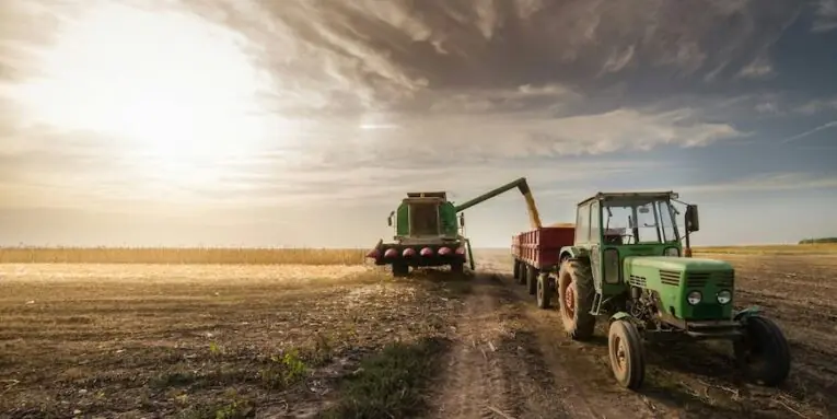 pouring corn grain into tractor trailer after harvest FEATURED IMAGE