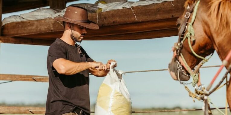 a man holding a bag while standing next to a horse FEATURED IMAGE